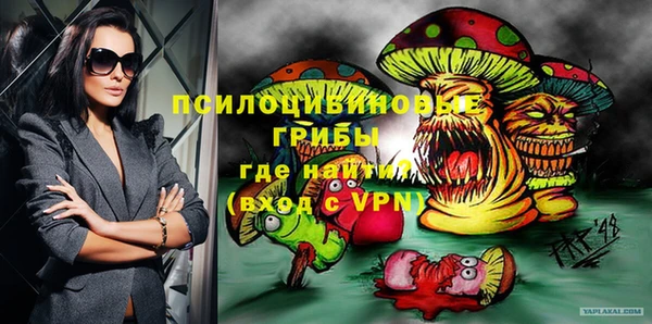 дурь Алексин