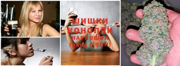 дурь Алексин