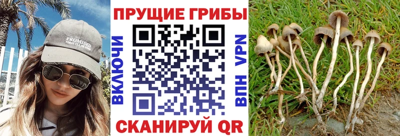 Псилоцибиновые грибы мухоморы  наркошоп  Щучье 