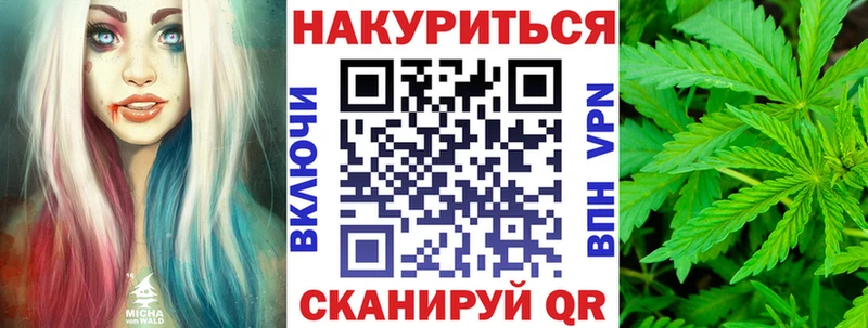 Бошки Шишки планчик закладка Щучье